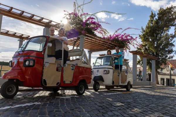 Funchal City Tour – 1H - Image 2