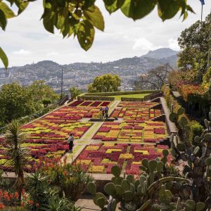 Botanical Garden Tour – 1H30