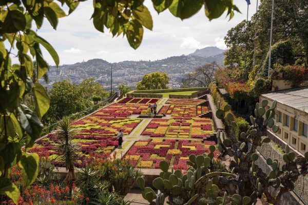 Botanical Garden Tour – 1H30