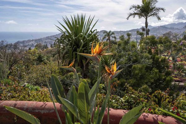 Botanical Garden Tour – 1H30 - Image 3