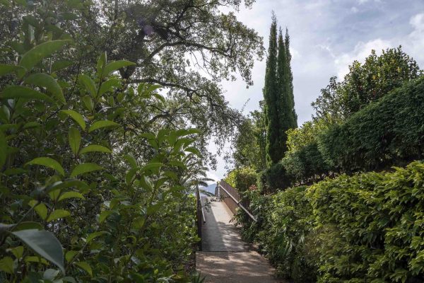 Botanical Garden Tour – 1H30 - Image 5