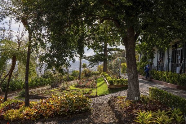 Botanical Garden Tour – 1H30 - Image 8