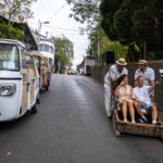 tuk-tuk-madeira-island-Monte-toboggan-experience-0001
