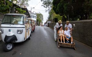 tuk-tuk-madeira-island-Monte-toboggan-experience-0001