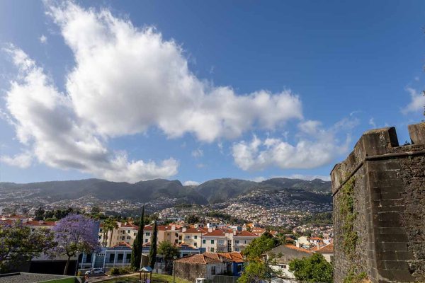 tuk-tuk-madeira-island-funchal-city-tour-002