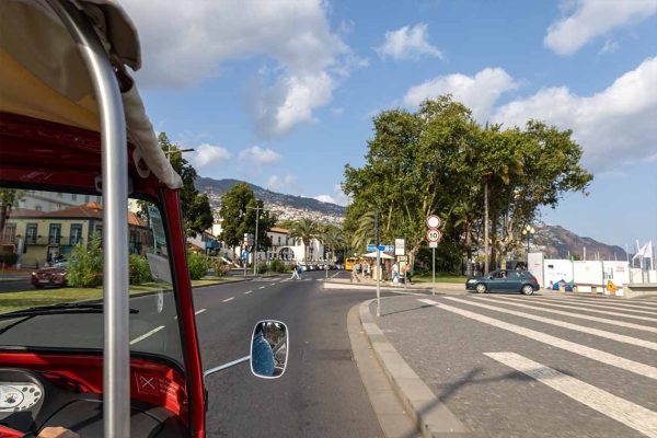 tuk-tuk-madeira-island-funchal-city-tour-003