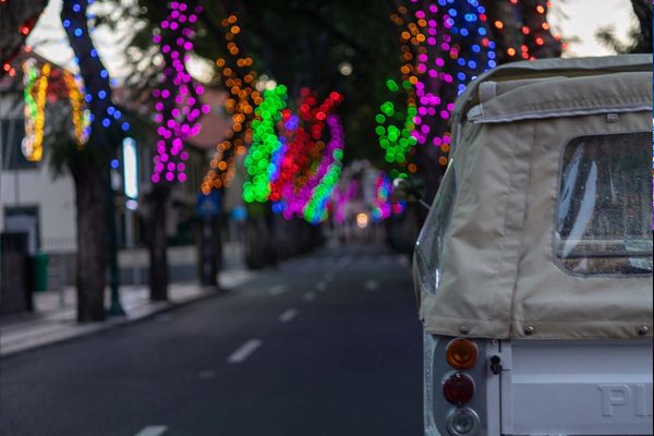 Christmas Lights – 1H - Image 3