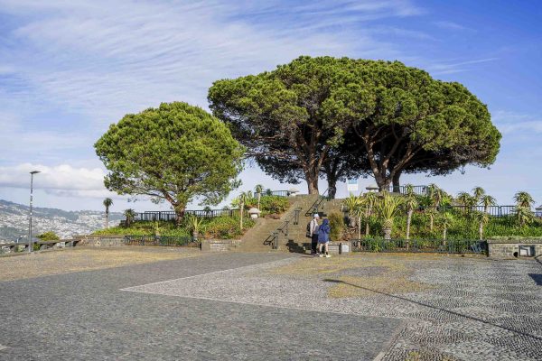 madeira-tuk-tuk-viewpoints-tour-02