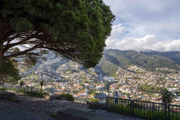 Breathtaking Viewpoints Tour – 1H30