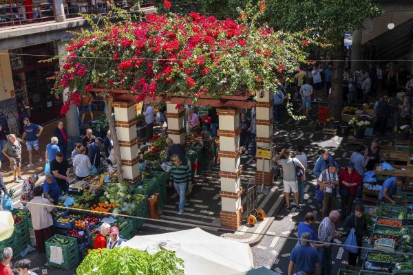 Traditional Drinks and Cultural Tour – 1H30 - Image 6